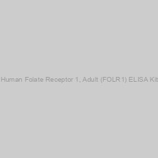 Image of Human Folate Receptor 1, Adult (FOLR1) ELISA Kit